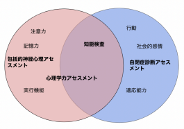 絶版☆自閉症児の教育マニュアル : 決定版・ロヴァス法による行動分析治療 japanesefinal.png.webp