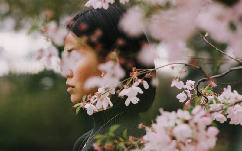 A photo of cherry blossoms in full bloom in front of the woman